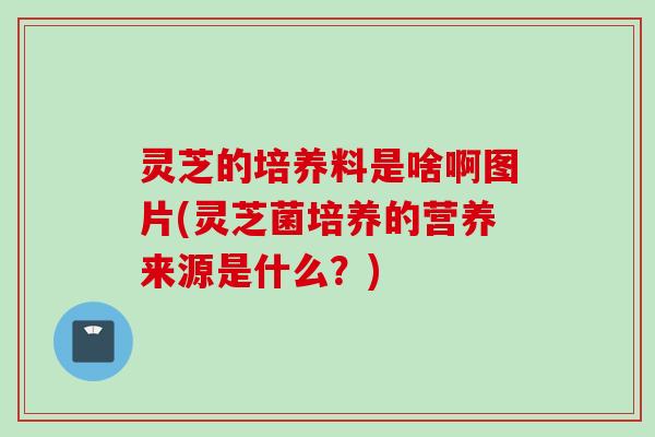灵芝的培养料是啥啊图片(灵芝菌培养的营养来源是什么?) 灵芝的培养料是啥啊图片(灵芝菌培养的营养来源是什么?)
