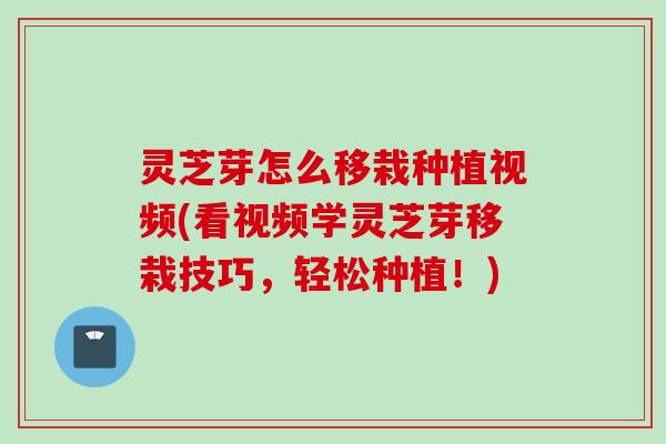 灵芝芽怎么移栽种植视频(看视频学灵芝芽移栽技巧，轻松种植！)