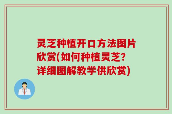 灵芝种植开口方法图片欣赏(如何种植灵芝？详细图解教学供欣赏)