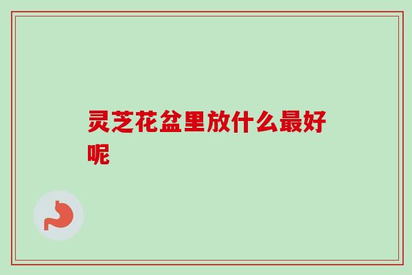 灵芝花盆里放什么最好呢