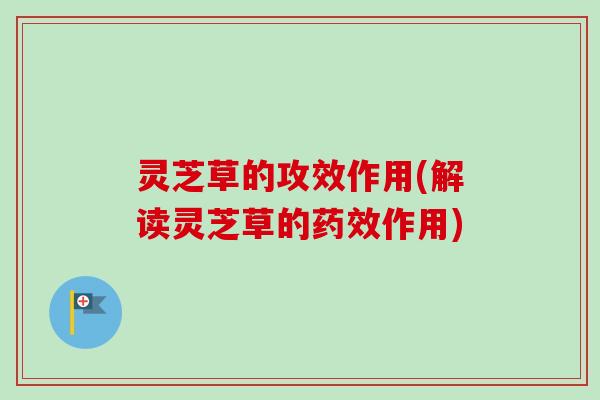 灵芝草的攻效作用(解读灵芝草的药效作用)