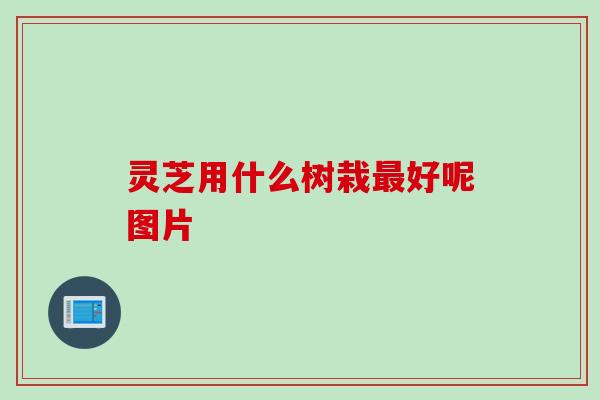 灵芝用什么树栽最好呢图片