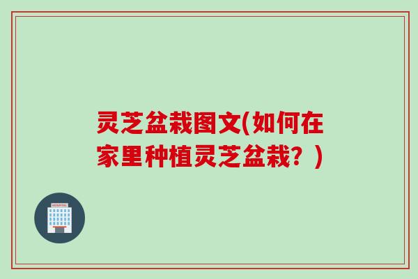 灵芝盆栽图文(如何在家里种植灵芝盆栽？)