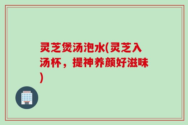 灵芝煲汤泡水(灵芝入汤杯，提神养颜好滋味)
