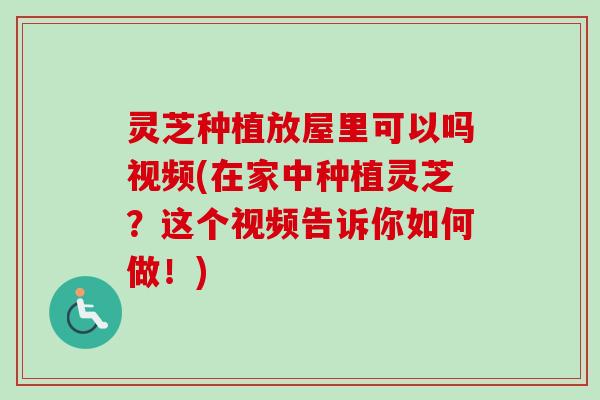 灵芝种植放屋里可以吗视频(在家中种植灵芝？这个视频告诉你如何做！)