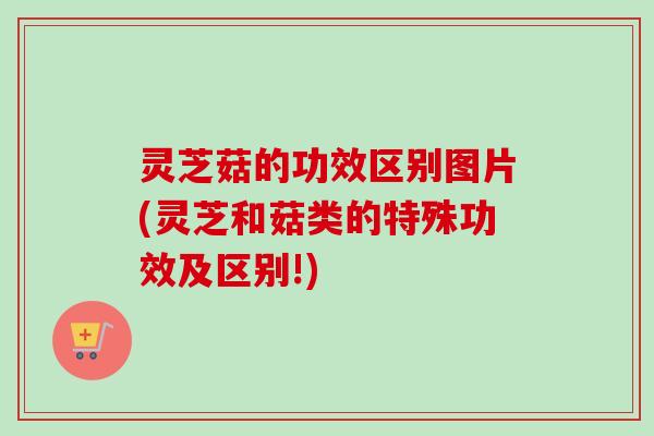 灵芝菇的功效区别图片(灵芝和菇类的特殊功效及区别!)