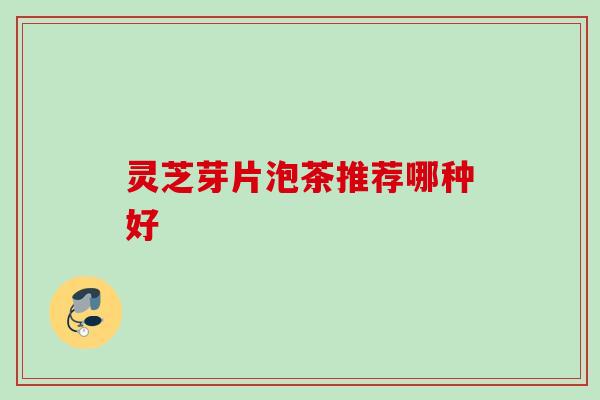 灵芝芽片泡茶推荐哪种好