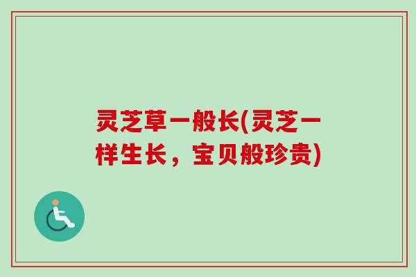 灵芝草一般长(灵芝一样生长，宝贝般珍贵)