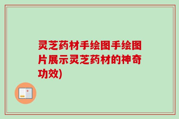 灵芝药材手绘图手绘图片展示灵芝药材的神奇功效)
