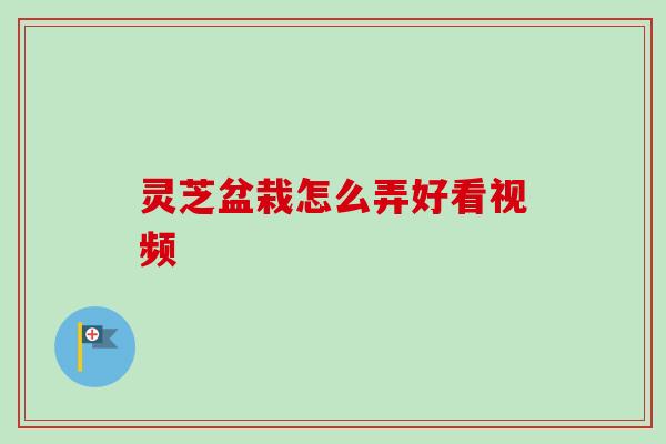 灵芝盆栽怎么弄好看视频