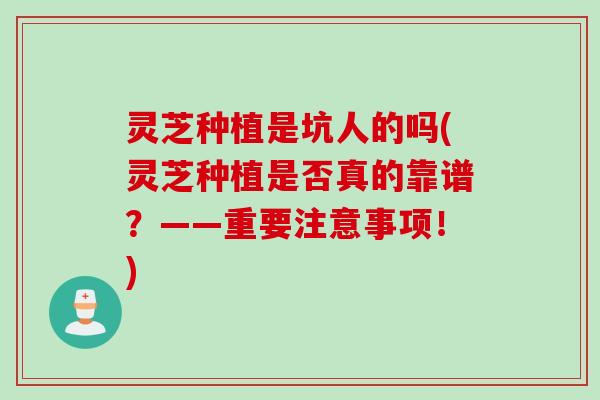 灵芝种植是坑人的吗(灵芝种植是否真的靠谱？——重要注意事项！)