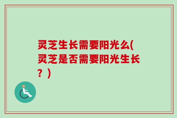 灵芝生长需要阳光么(灵芝是否需要阳光生长？)