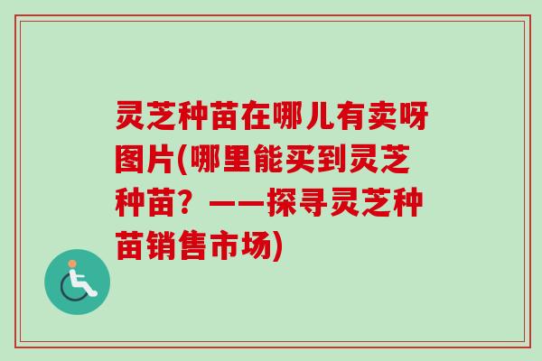 灵芝种苗在哪儿有卖呀图片(哪里能买到灵芝种苗？——探寻灵芝种苗销售市场)