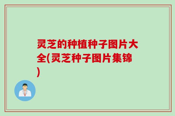 灵芝的种植种子图片大全(灵芝种子图片集锦)