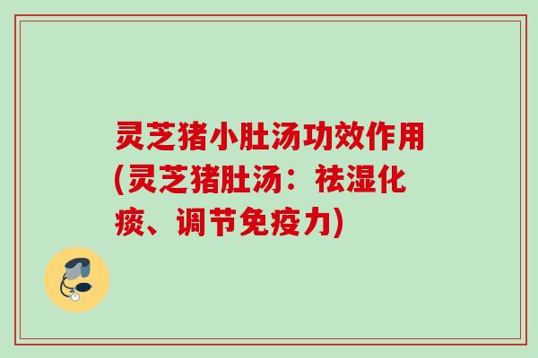 灵芝猪小肚汤功效作用(灵芝猪肚汤：祛湿化痰、调节免疫力)