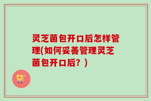 灵芝菌包开口后怎样管理(如何妥善管理灵芝菌包开口后？)