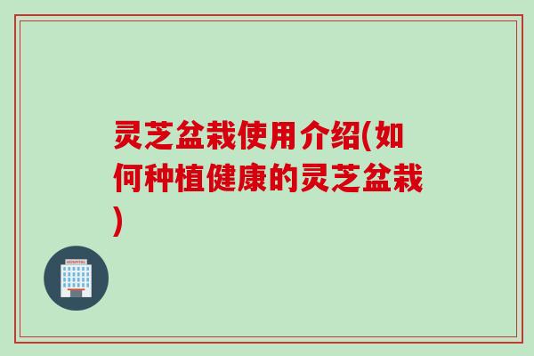 灵芝盆栽使用介绍(如何种植健康的灵芝盆栽)