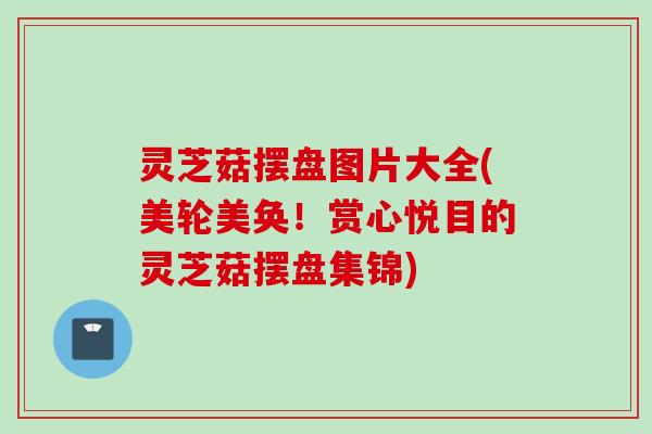 灵芝菇摆盘图片大全(美轮美奂！赏心悦目的灵芝菇摆盘集锦)
