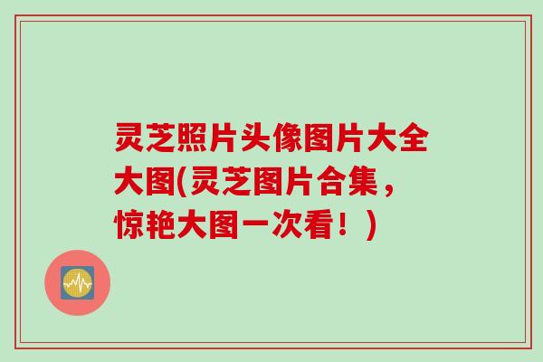 灵芝照片头像图片大全大图(灵芝图片合集，惊艳大图一次看！)