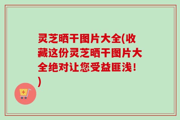灵芝晒干图片大全(收藏这份灵芝晒干图片大全绝对让您受益匪浅!) 灵芝晒干图片大全(收藏这份灵芝晒干图片大全绝对让您受益匪浅!)