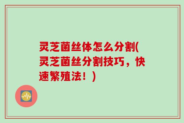 灵芝菌丝体怎么分割(灵芝菌丝分割技巧，快速繁殖法！)