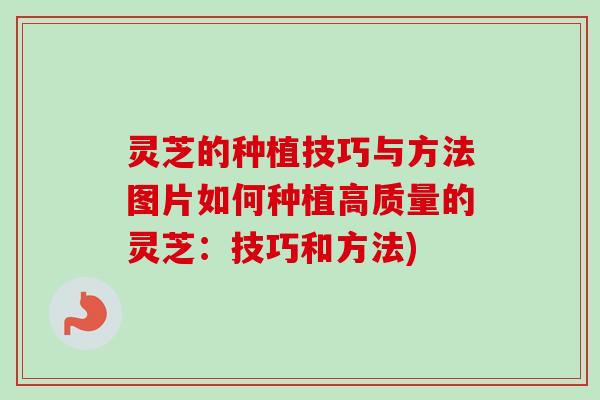 灵芝的种植技巧与方法图片如何种植高质量的灵芝：技巧和方法)