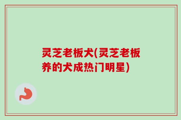 灵芝老板犬(灵芝老板养的犬成热门明星)