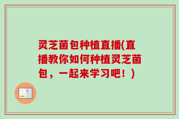 灵芝菌包种植直播(直播教你如何种植灵芝菌包，一起来学习吧！)