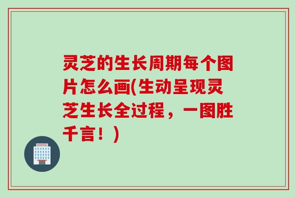 灵芝的生长周期每个图片怎么画(生动呈现灵芝生长全过程,一图胜千言!) 灵芝的生长周期每个图片怎么画(生动呈现灵芝生长全过程,一图胜千言!)
