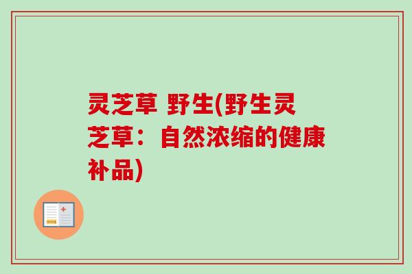 灵芝草 野生(野生灵芝草：自然浓缩的健康补品)