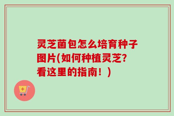灵芝菌包怎么培育种子图片(如何种植灵芝？看这里的指南！)