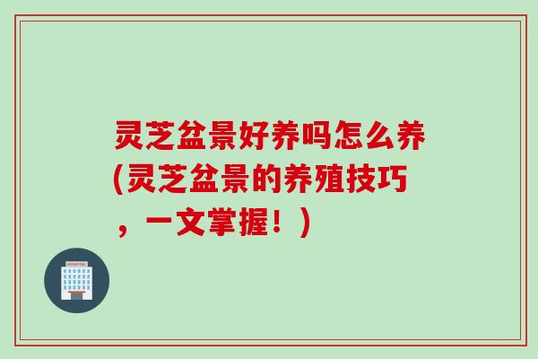 灵芝盆景好养吗怎么养(灵芝盆景的养殖技巧，一文掌握！)