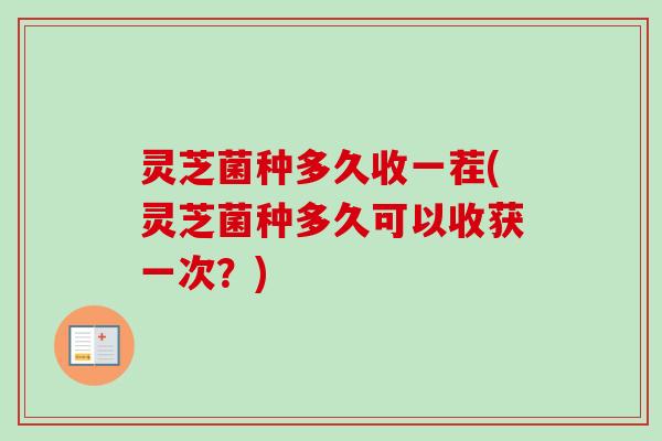 灵芝菌种多久收一茬(灵芝菌种多久可以收获一次？)