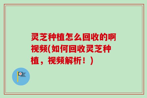 灵芝种植怎么回收的啊视频(如何回收灵芝种植，视频解析！)