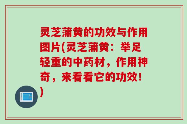 灵芝蒲黄的功效与作用图片(灵芝蒲黄：举足轻重的中药材，作用神奇，来看看它的功效！)