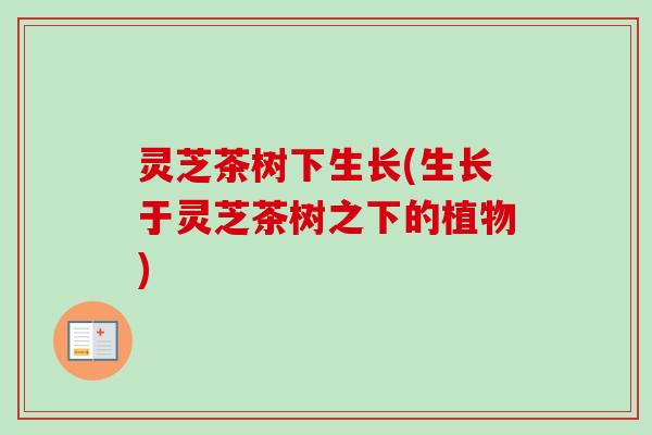 灵芝茶树下生长(生长于灵芝茶树之下的植物) 灵芝茶树下生长(生长于灵芝茶树之下的植物)