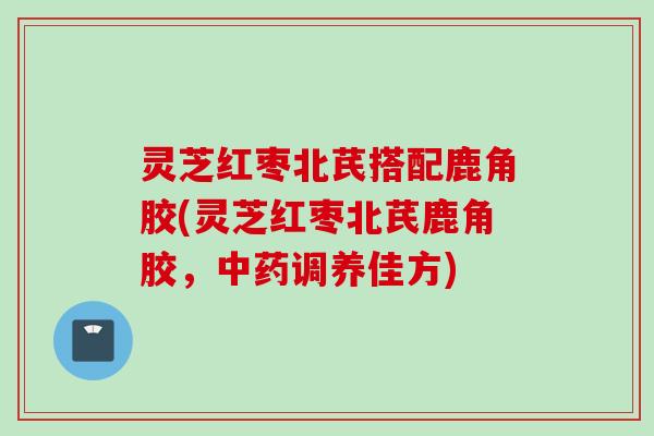 灵芝红枣北芪搭配鹿角胶(灵芝红枣北芪鹿角胶，调养佳方)