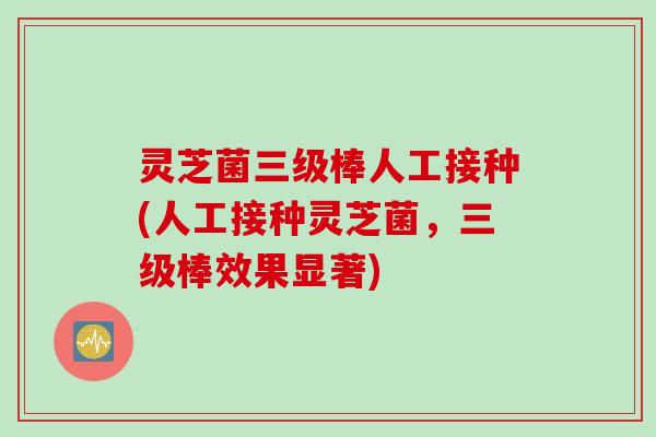 灵芝菌三级棒人工接种(人工接种灵芝菌，三级棒效果显著)