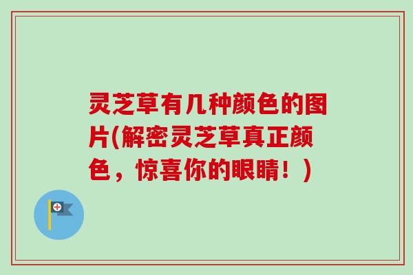 灵芝草有几种颜色的图片(解密灵芝草真正颜色,惊喜你的眼睛!) 灵芝草有几种颜色的图片(解密灵芝草真正颜色,惊喜你的眼睛!)