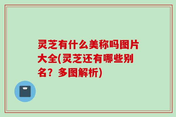 灵芝有什么美称吗图片大全(灵芝还有哪些别名?多图解析) 灵芝有什么美称吗图片大全(灵芝还有哪些别名?多图解析)