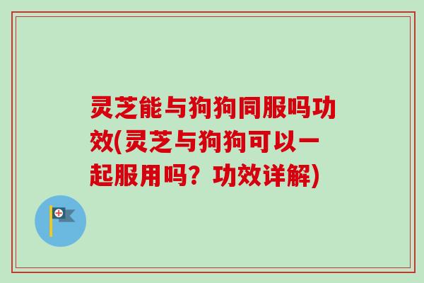 灵芝能与狗狗同服吗功效(灵芝与狗狗可以一起服用吗？功效详解)