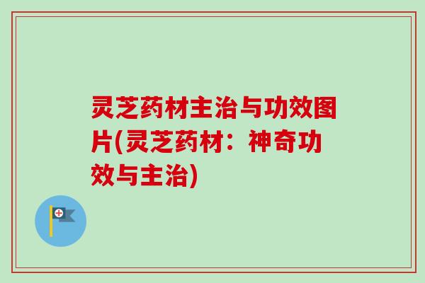 灵芝药材主与功效图片(灵芝药材:神奇功效与主) 灵芝药材主与功效图片(灵芝药材:神奇功效与主)