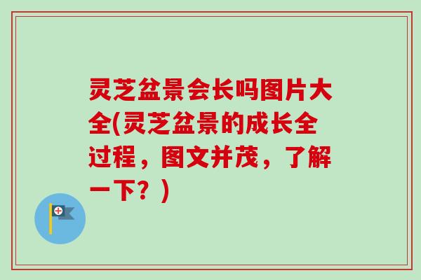 灵芝盆景会长吗图片大全(灵芝盆景的成长全过程，图文并茂，了解一下？)