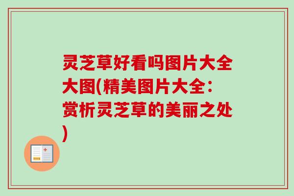 灵芝草好看吗图片大全大图(精美图片大全：赏析灵芝草的美丽之处)