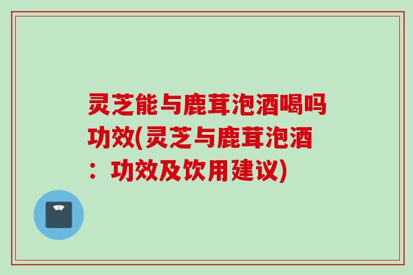 灵芝能与鹿茸泡酒喝吗功效(灵芝与鹿茸泡酒：功效及饮用建议)