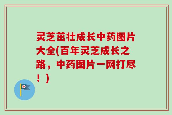 灵芝茁壮成长中药图片大全(百年灵芝成长之路，中药图片一网打尽！)