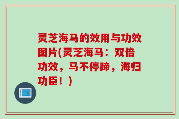 灵芝海马的效用与功效图片(灵芝海马：双倍功效，马不停蹄，海归功臣！)