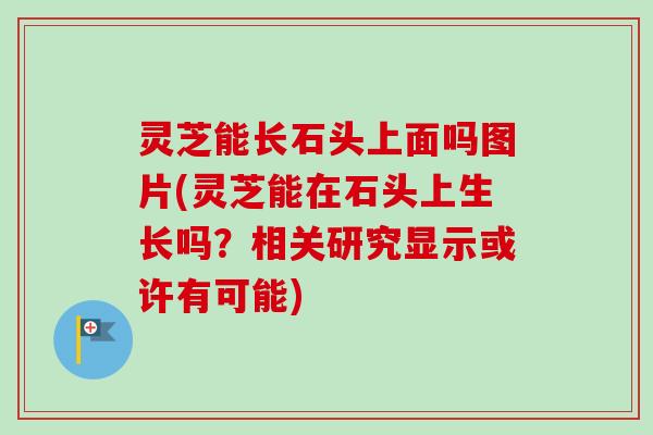 灵芝能长石头上面吗图片(灵芝能在石头上生长吗？相关研究显示或许有可能)