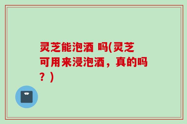 灵芝能泡酒 吗(灵芝可用来浸泡酒，真的吗？)