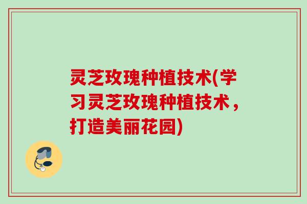 灵芝玫瑰种植技术(学习灵芝玫瑰种植技术，打造美丽花园)